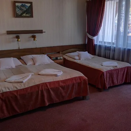 Sosnica Hotel 3*