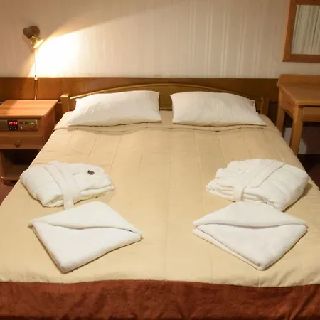 Hotel Sosnica 3*